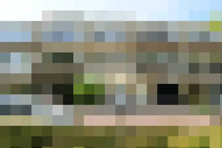 Scholeksterlaan 82 Vinkeveen thumbnail 40