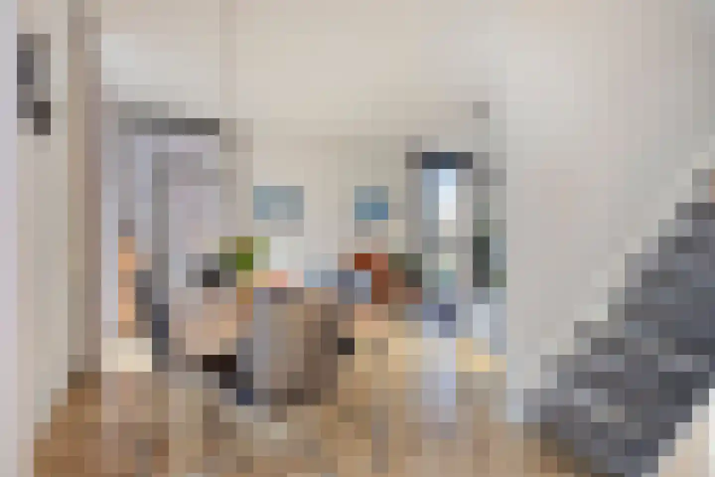 Scholekstersingel 14 Den Haag thumbnail 17