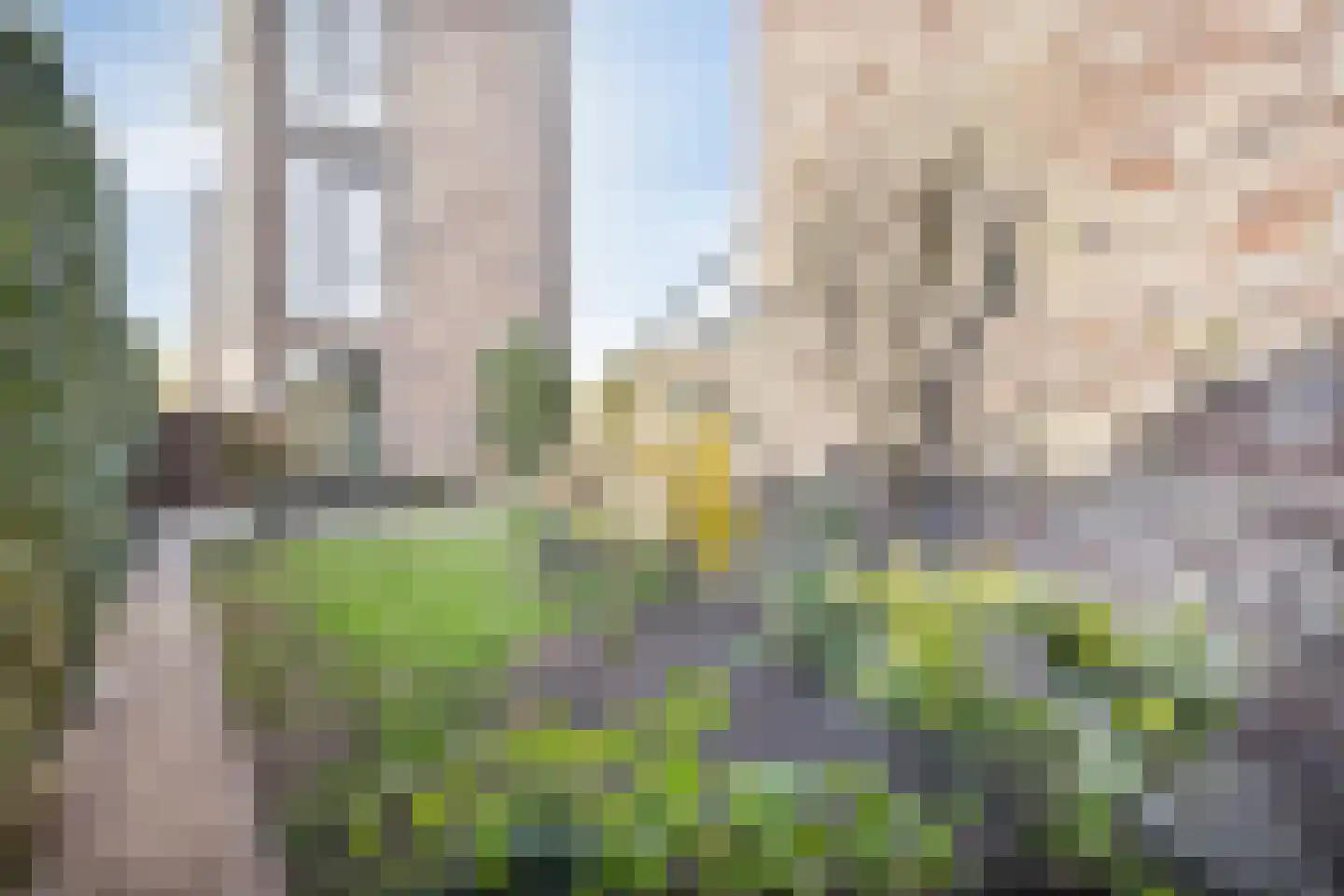 Scholekstersingel 14 Den Haag thumbnail 39
