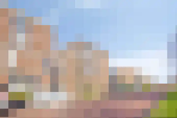 Scholekstersingel 14 Den Haag thumbnail 40