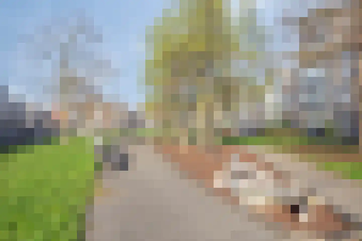 Scholekstersingel 14 Den Haag thumbnail 43
