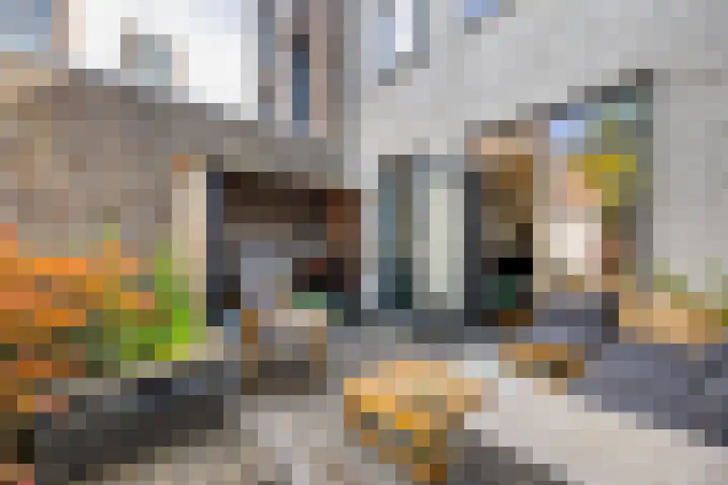 Scholekstersingel 68 Den Haag thumbnail 13