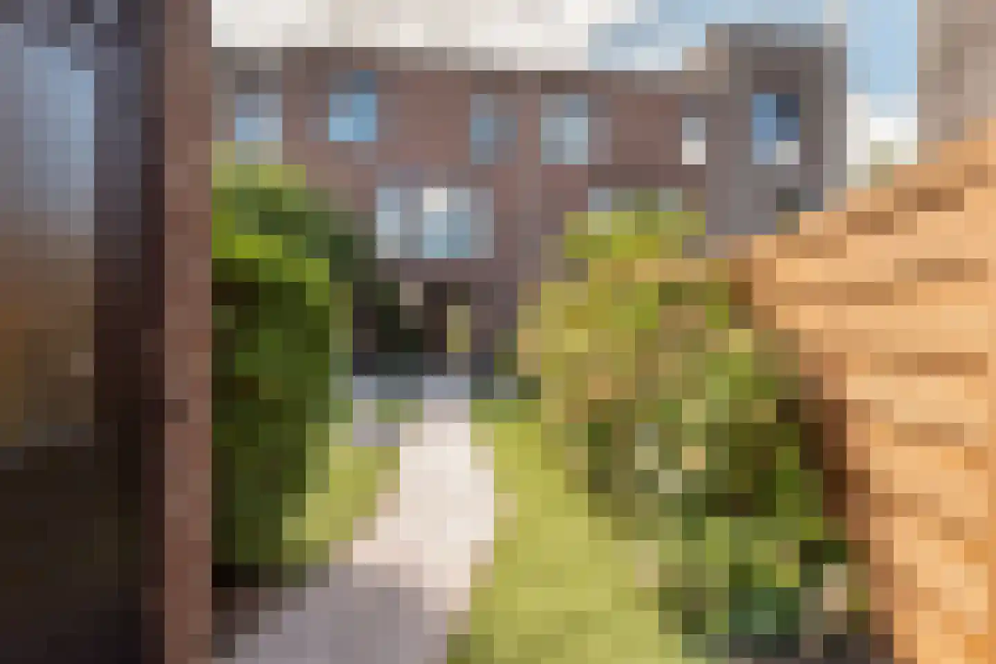 Scholekstersingel 78 Den Haag thumbnail 29