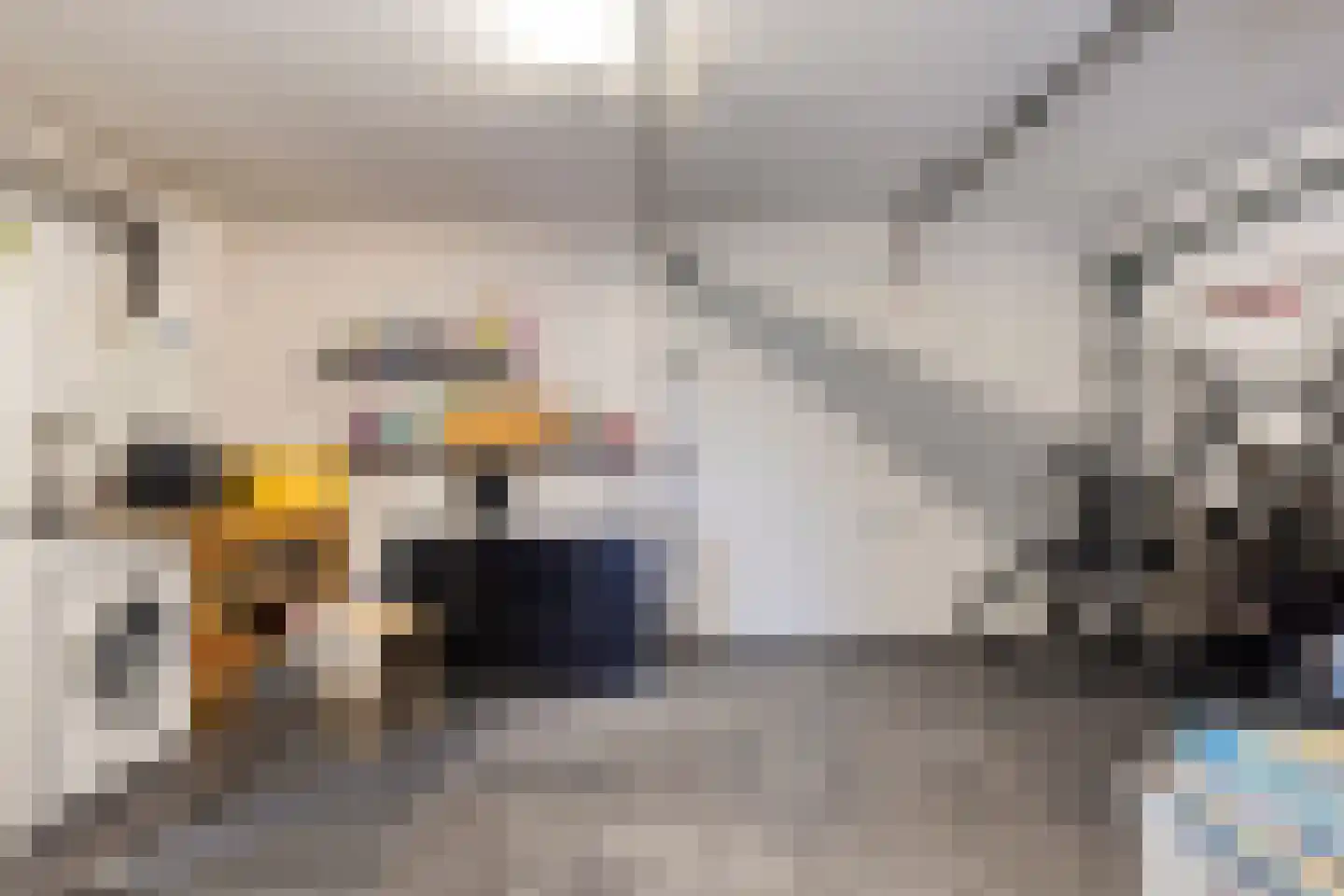 Scholeksterstraat 11 Middelburg thumbnail 18