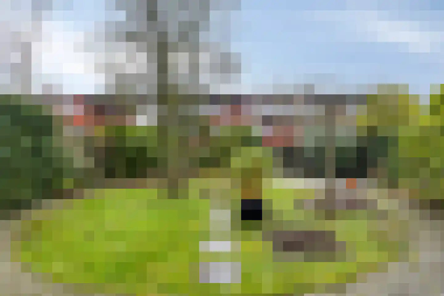 Scholeksterstraat 11 Middelburg thumbnail 21