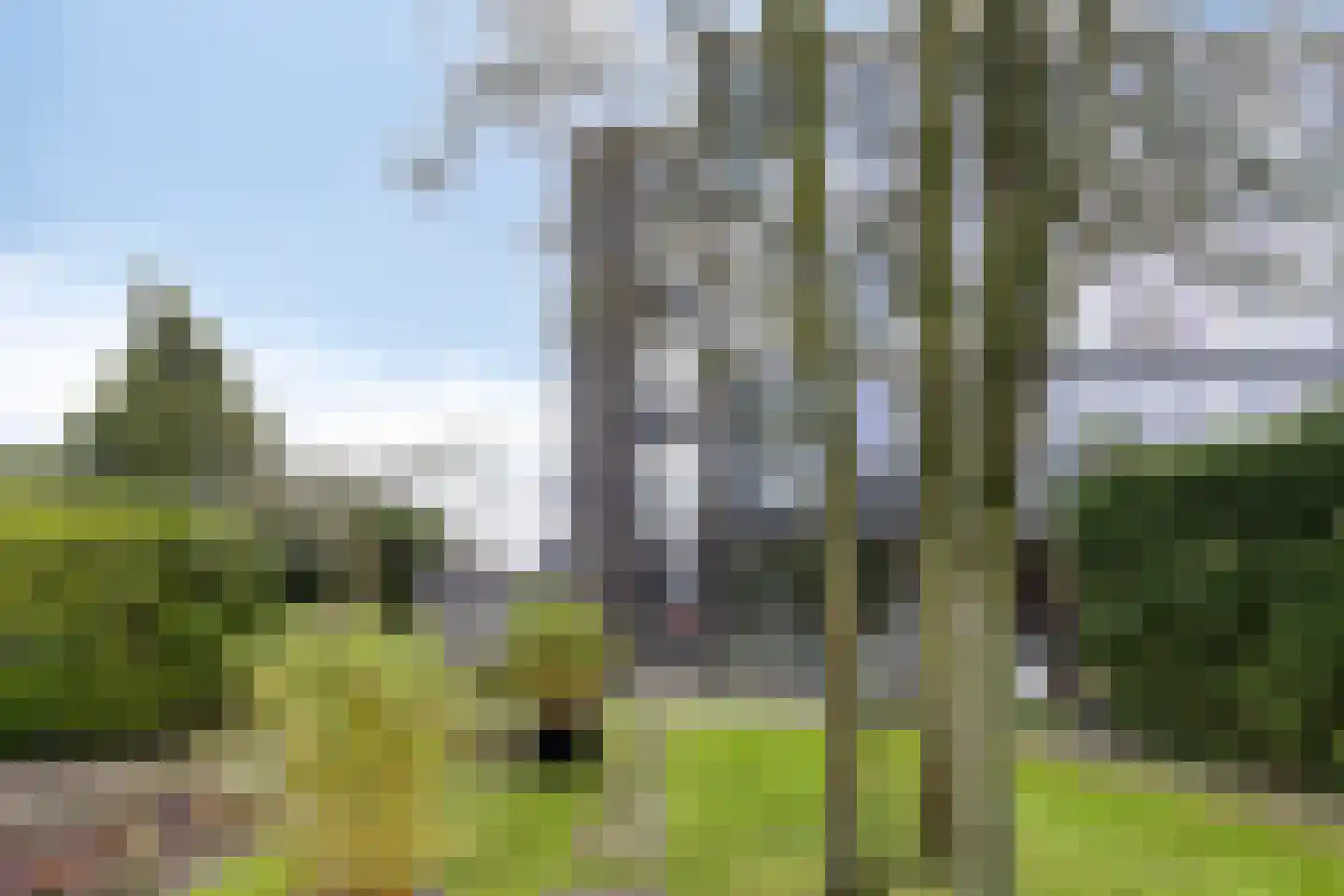 Scholeksterstraat 11 Middelburg thumbnail 22