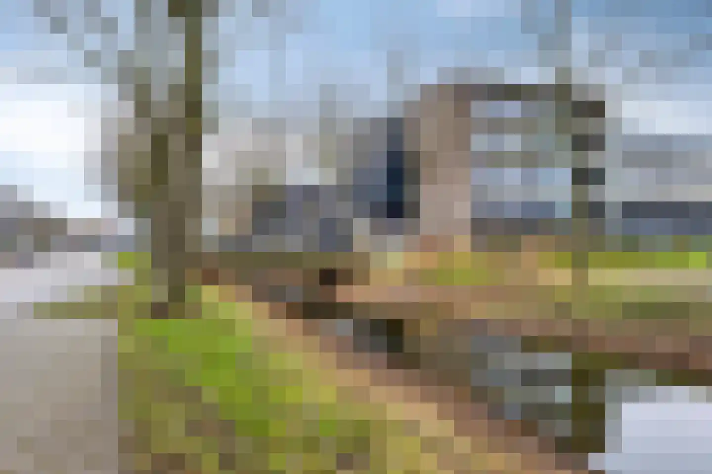 Scholeksterstraat 11 Middelburg thumbnail 25