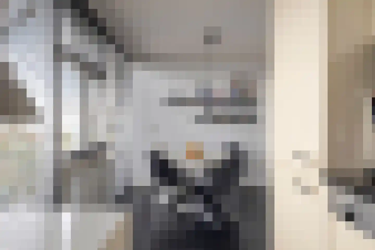 Scholeksterstraat 11 Middelburg thumbnail 7