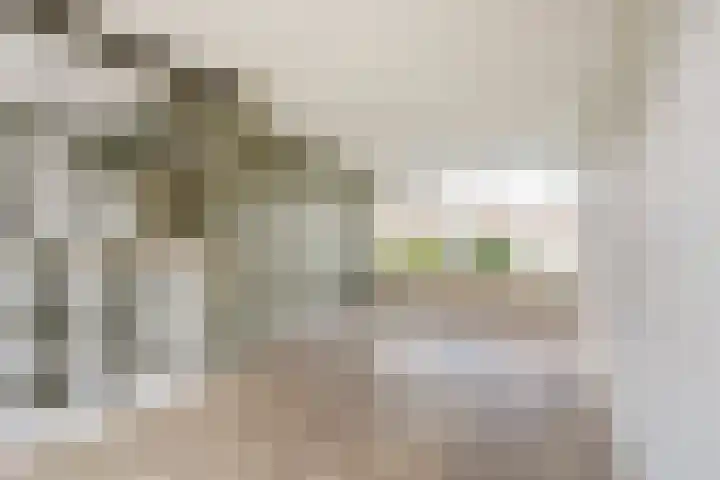 Scholeksterstraat 114 Heerenveen thumbnail 5