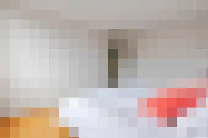 Scholeksterstraat 17 Leiderdorp thumbnail 25