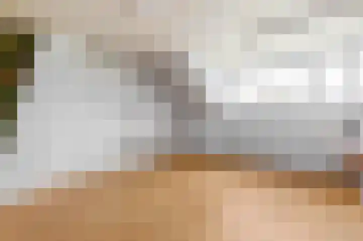Scholeksterstraat 17 Leiderdorp thumbnail 4