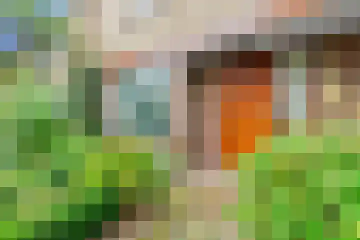 Scholeksterstraat 17 Leiderdorp thumbnail 5