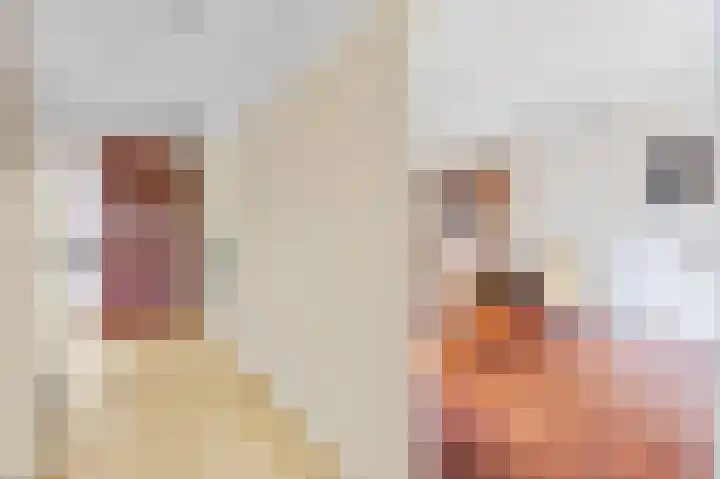 Scholeksterstraat 17 Leiderdorp thumbnail 7