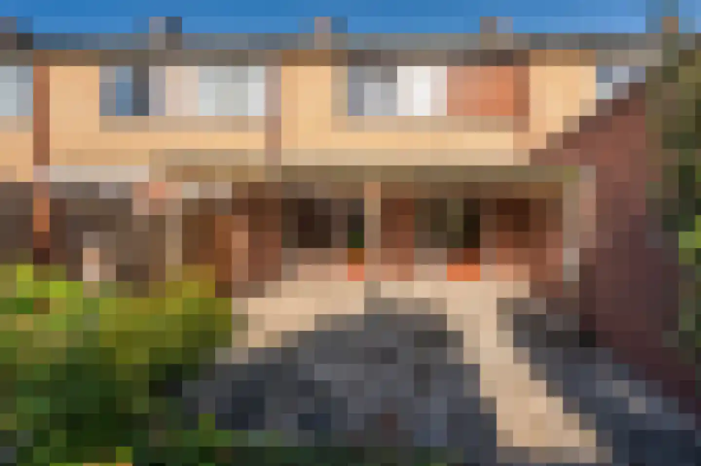 Scholeksterstraat 17 Venlo thumbnail 23