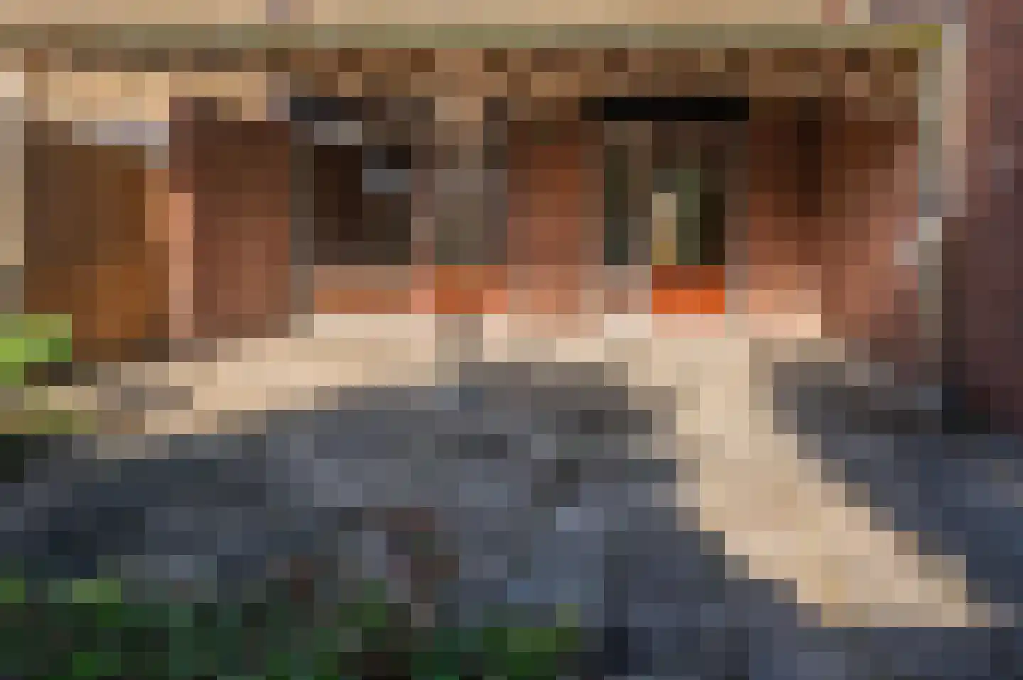 Scholeksterstraat 17 Venlo thumbnail 25