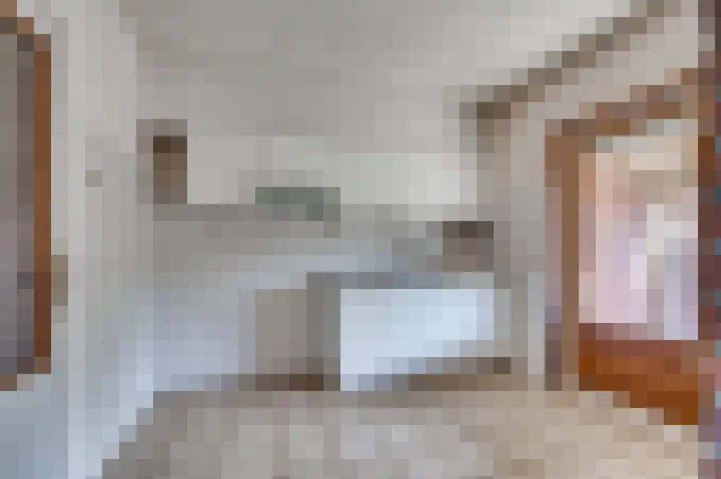 Scholeksterstraat 17 Venlo thumbnail 8
