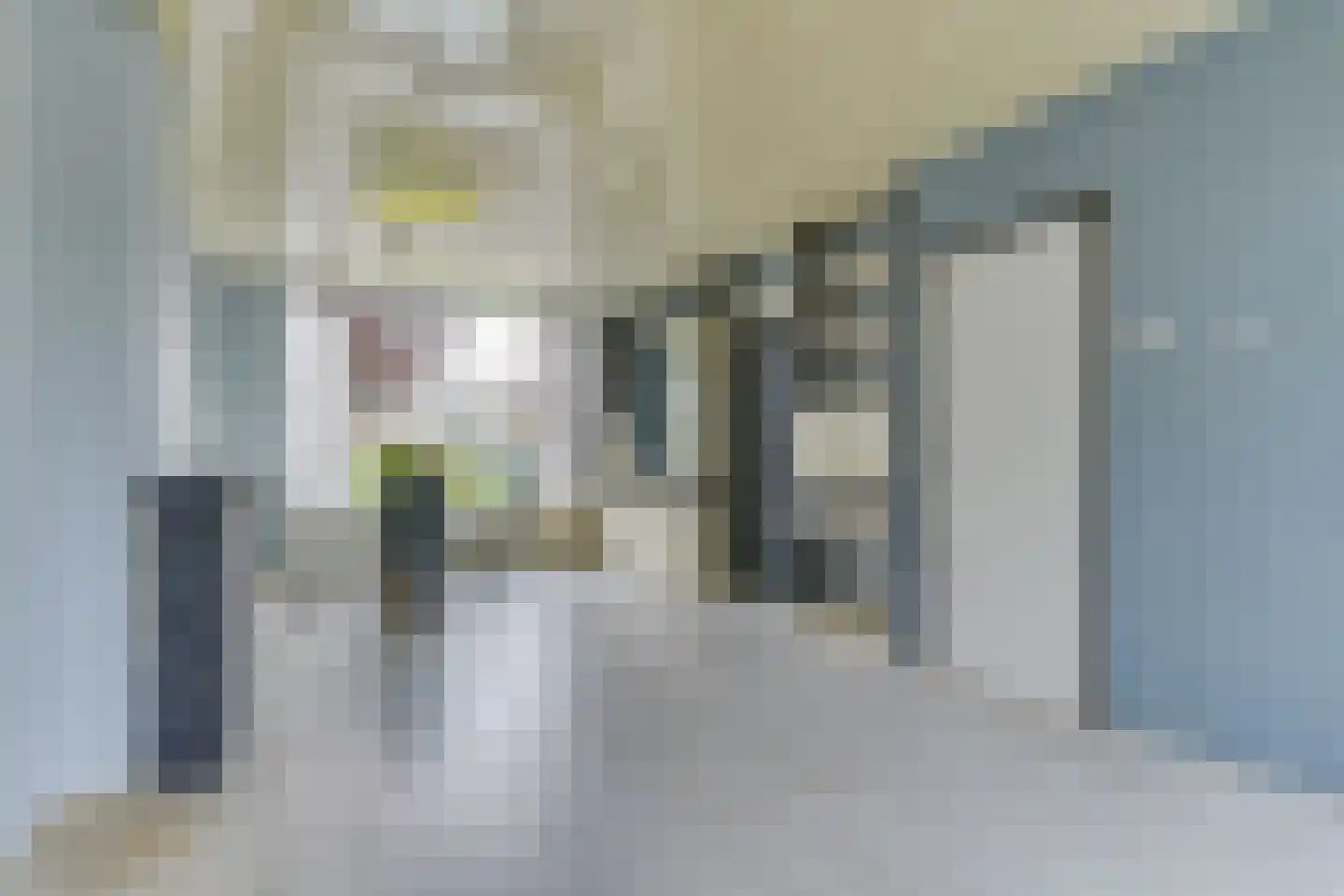 Scholeksterstraat 2 Alkmaar thumbnail 12