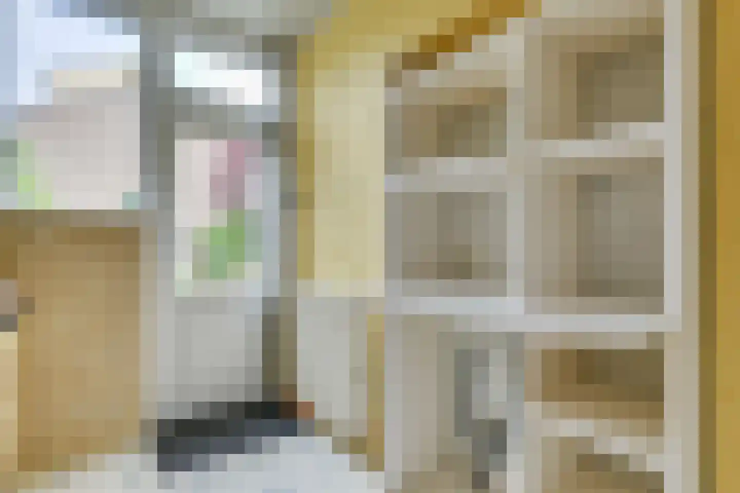 Scholeksterstraat 2 Alkmaar thumbnail 15