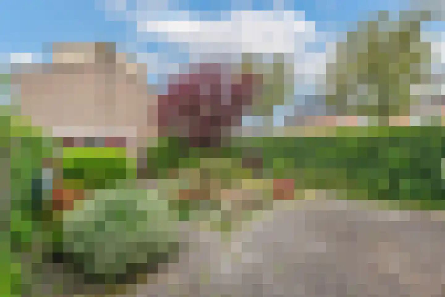 Scholeksterstraat 2 Alkmaar thumbnail 28