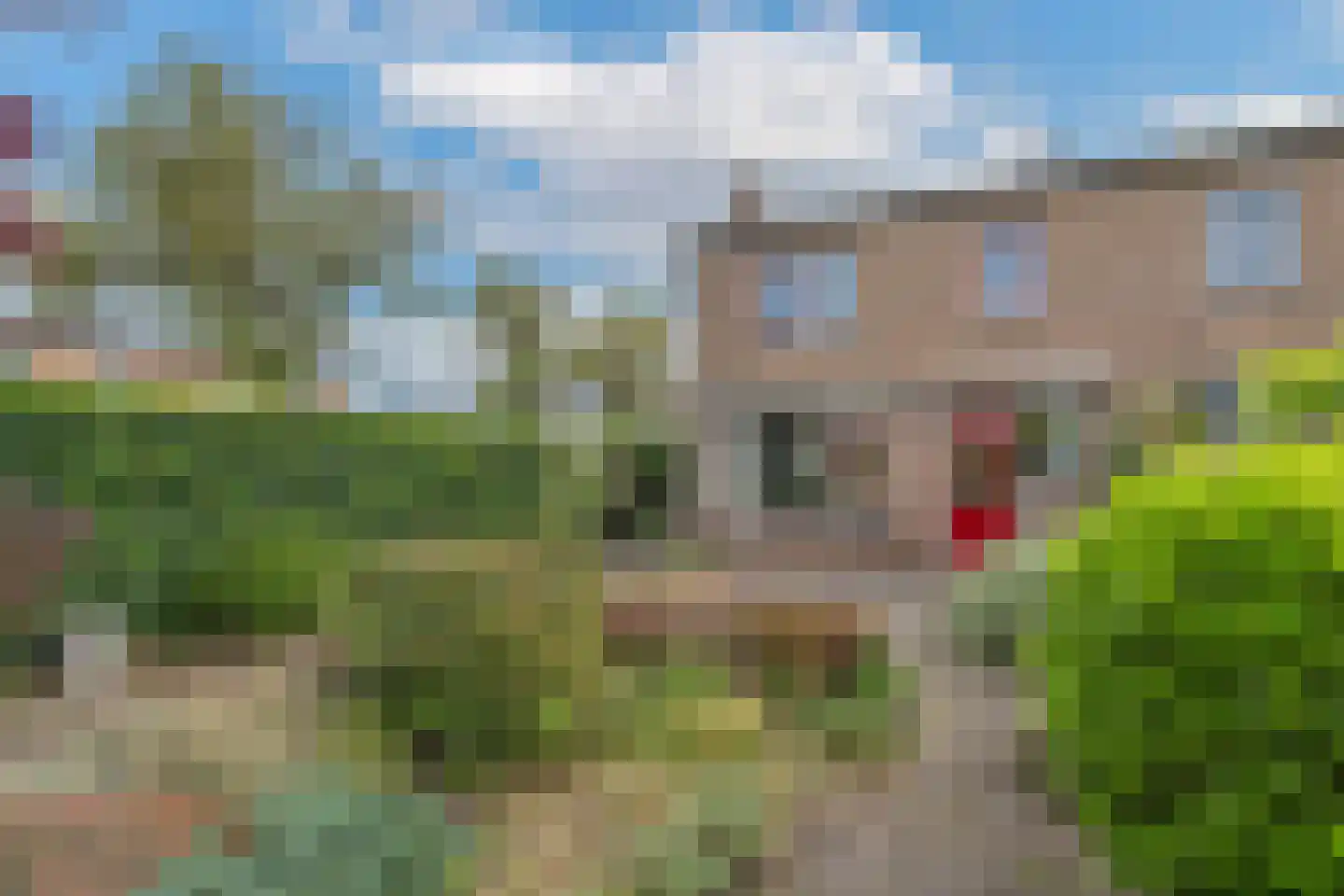 Scholeksterstraat 2 Alkmaar thumbnail 31