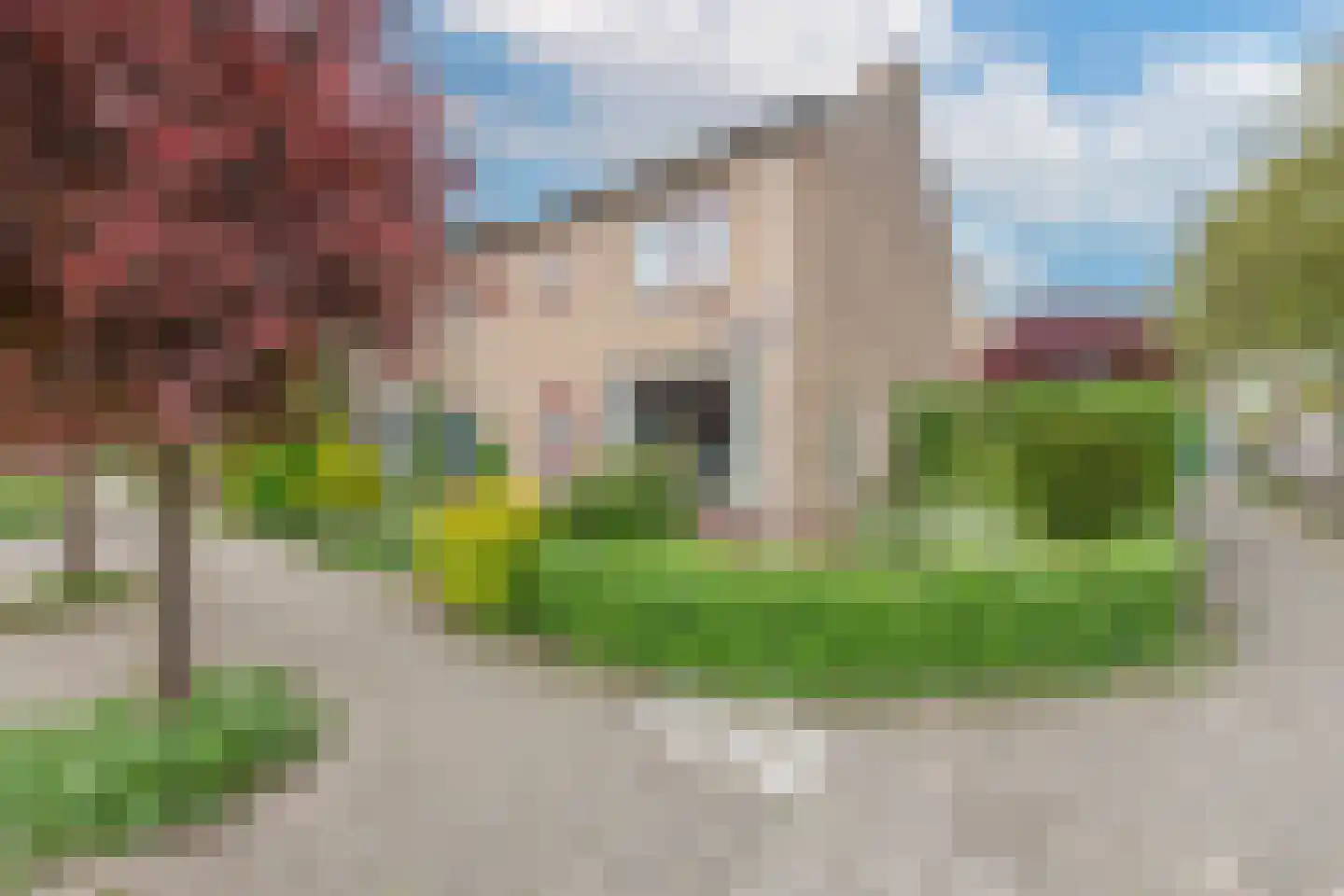 Scholeksterstraat 2 Alkmaar thumbnail 4