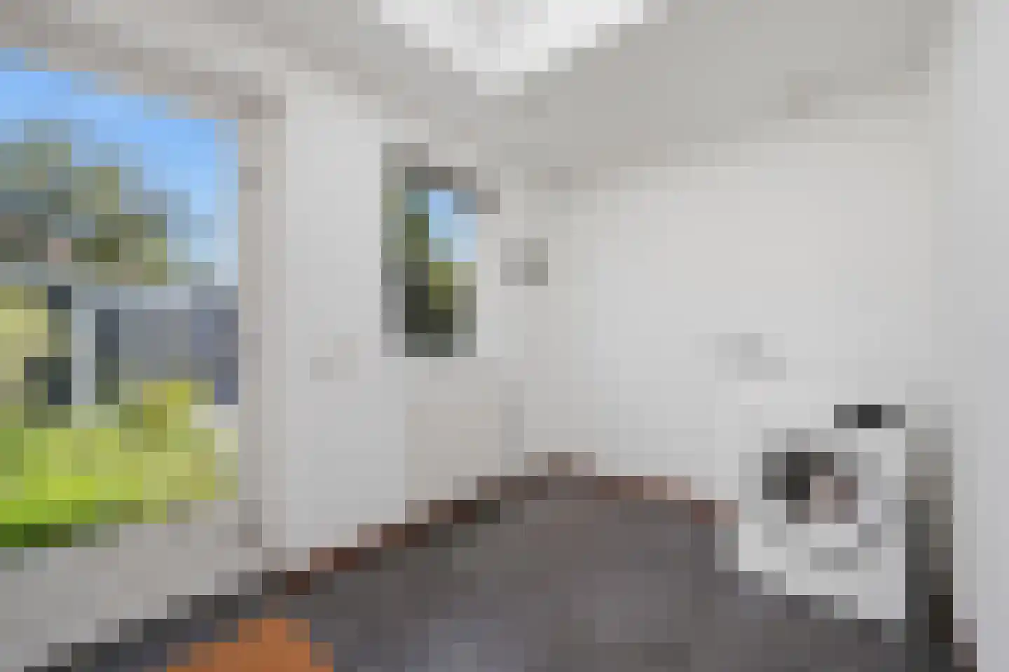 Scholeksterstraat 2 Middelburg thumbnail 13