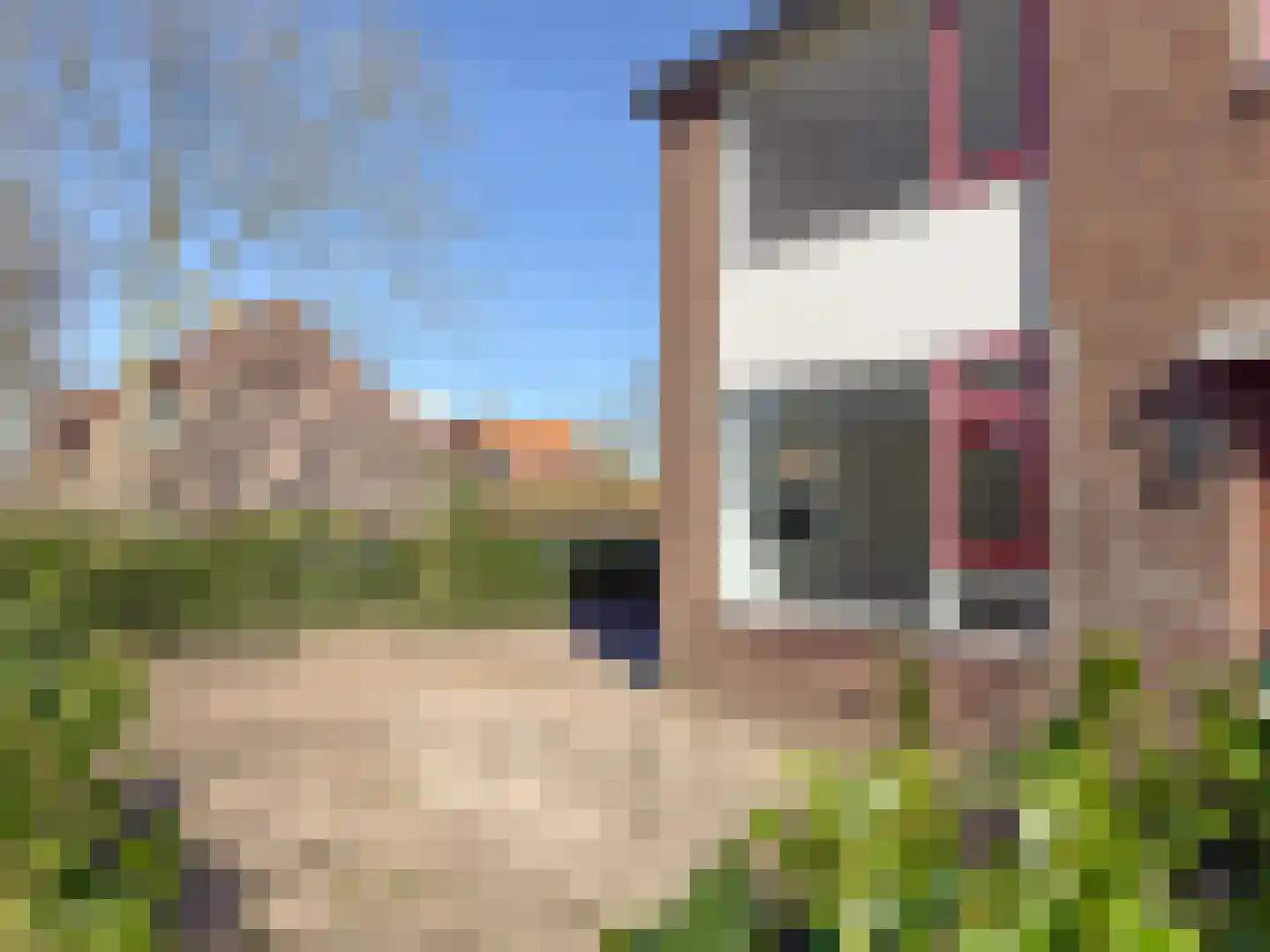 Scholeksterstraat 20 Groet thumbnail 17