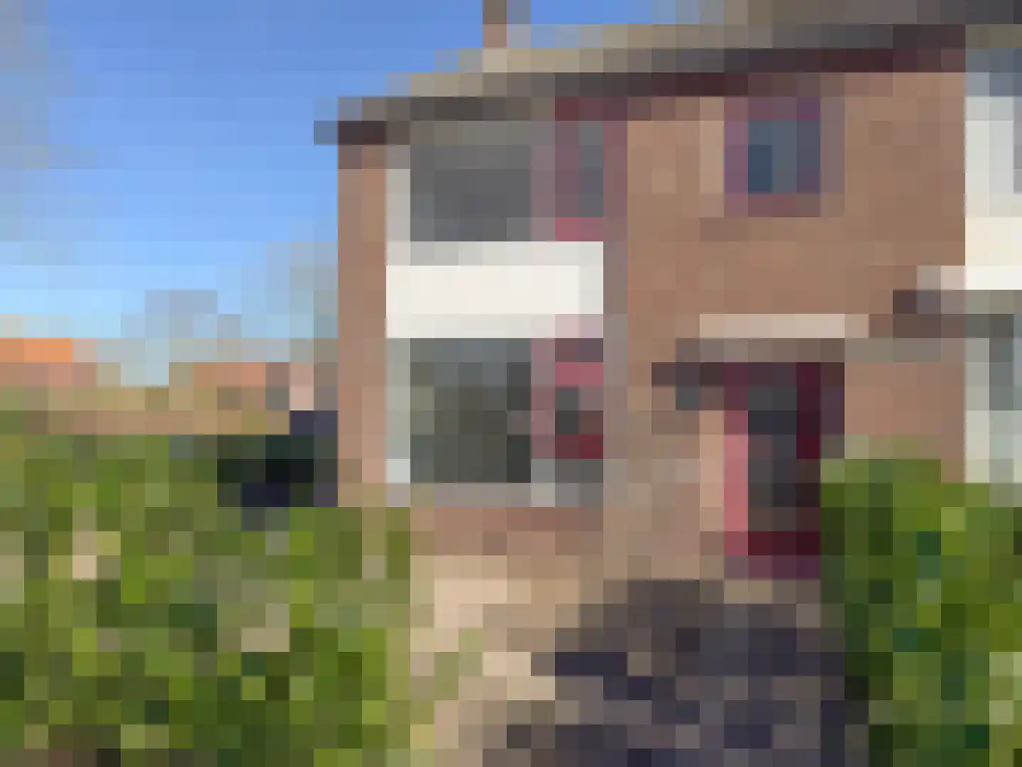 Scholeksterstraat 20 Groet thumbnail 18