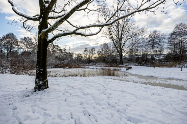 Scholeksterstraat 3 Amersfoort thumbnail 51