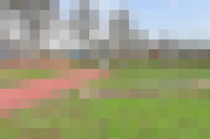 Scholeksterstraat 30 Rozenburg thumbnail 26