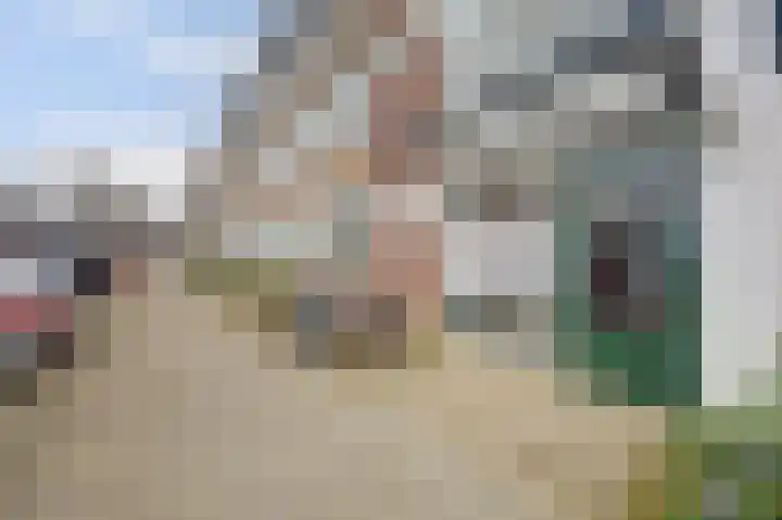 Scholeksterstraat 30 Rozenburg thumbnail 4