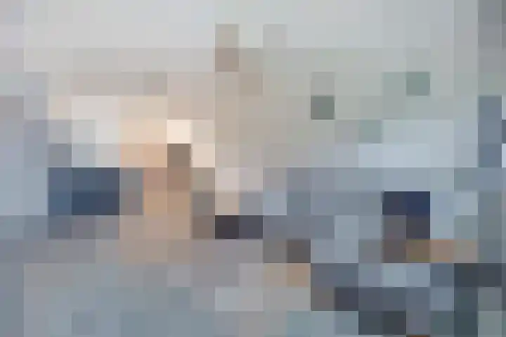 Scholeksterstraat 30 Rozenburg thumbnail 9