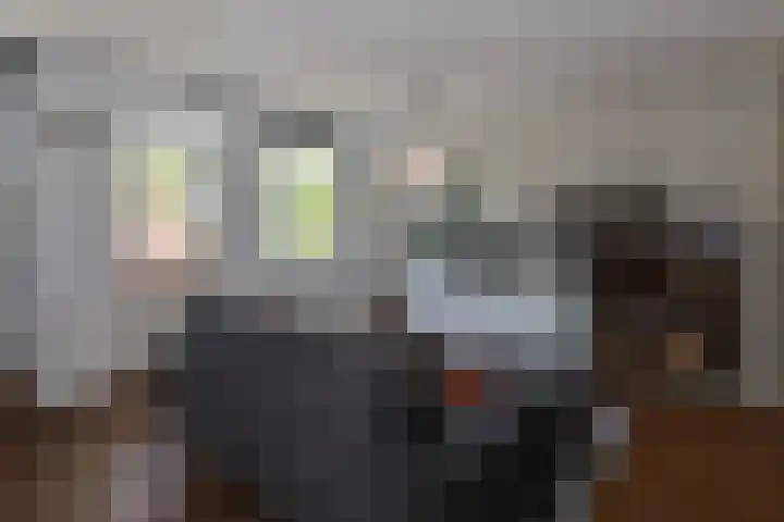 Scholeksterstraat 34 Nijmegen thumbnail 4