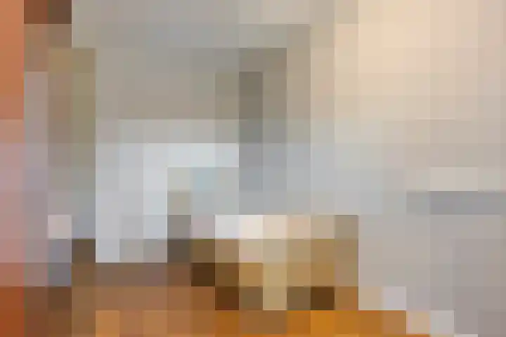 Scholeksterstraat 38 Rozenburg thumbnail 13