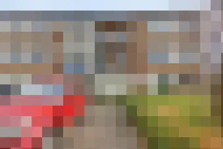 Scholeksterstraat 38 Rozenburg thumbnail 16