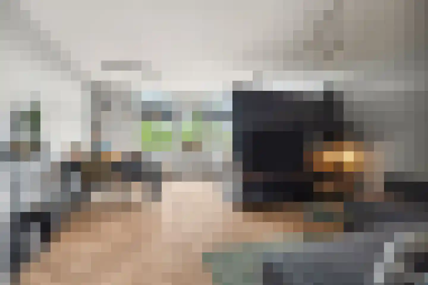 Scholeksterstraat 44 Nijmegen thumbnail 10