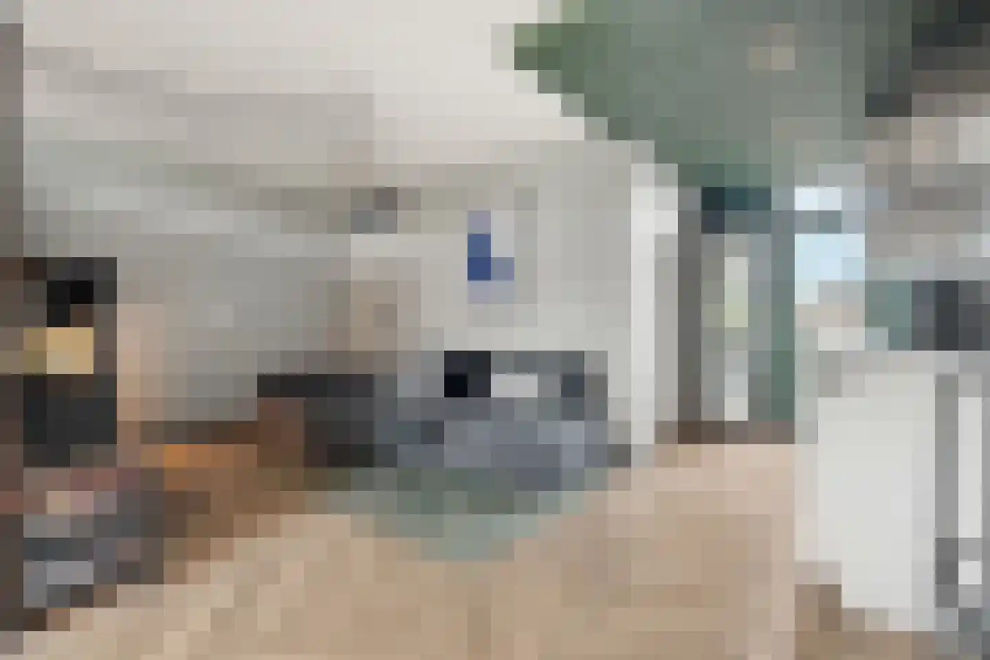 Scholeksterstraat 44 Nijmegen thumbnail 9