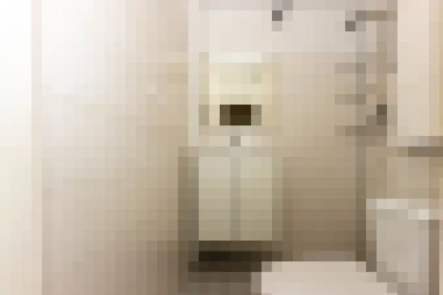 Scholeksterstraat 54 Rozenburg thumbnail 15