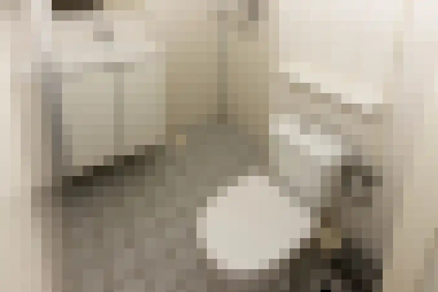 Scholeksterstraat 54 Rozenburg thumbnail 16