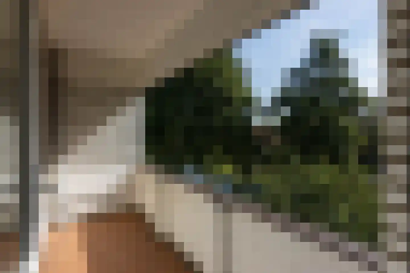 Scholeksterstraat 54 Rozenburg thumbnail 20