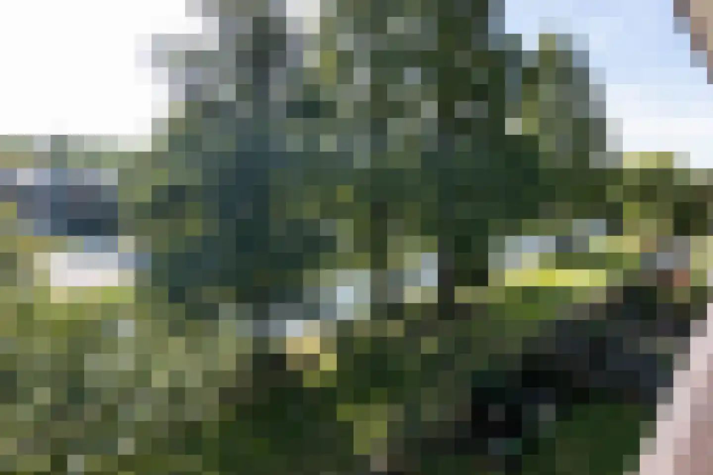 Scholeksterstraat 54 Rozenburg thumbnail 21