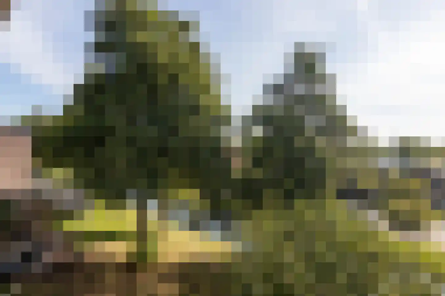 Scholeksterstraat 54 Rozenburg thumbnail 22