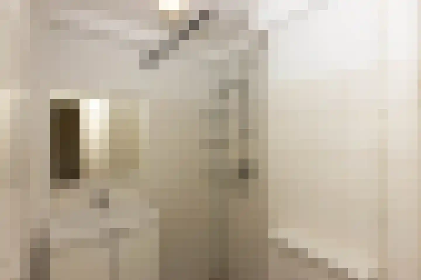 Scholeksterstraat 54 Rozenburg thumbnail 5