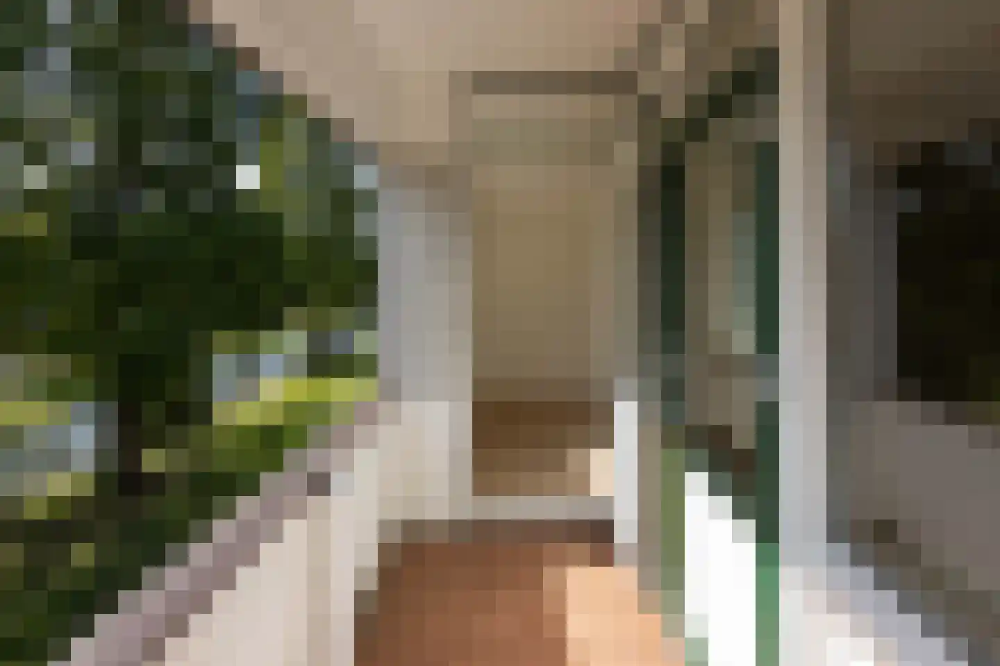 Scholeksterstraat 54 Rozenburg thumbnail 6