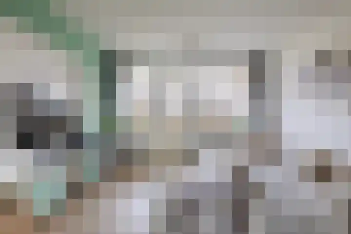 Scholeksterstraat 66 Rozenburg thumbnail 11