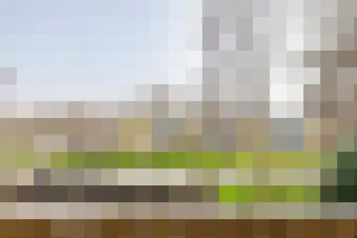 Scholeksterstraat 66 Rozenburg thumbnail 12