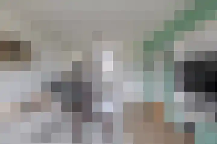 Scholeksterstraat 66 Rozenburg thumbnail 13