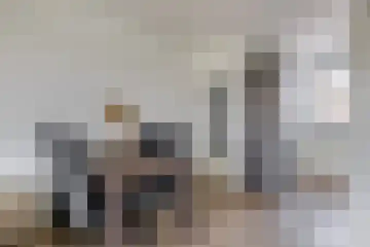 Scholeksterstraat 66 Rozenburg thumbnail 14