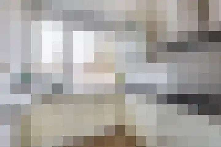 Scholeksterstraat 66 Rozenburg thumbnail 16