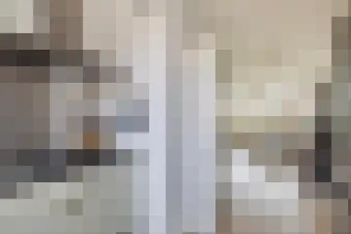 Scholeksterstraat 66 Rozenburg thumbnail 17